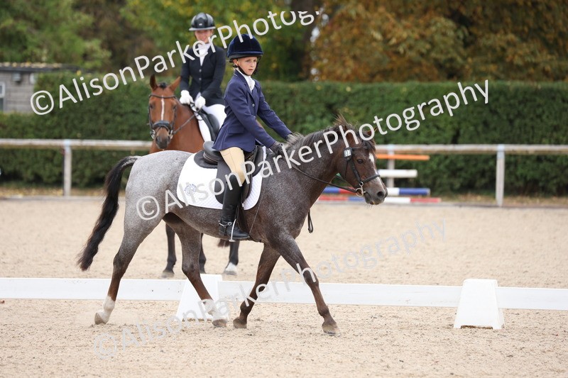 20250819-0884 - Class 2 - Prelim 1