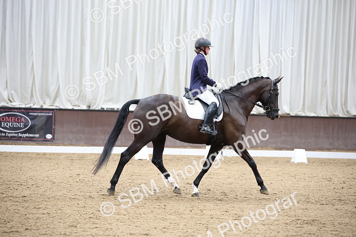SBM_003482 - Class 5 - Novice 6 Gold - 13.05-14.00