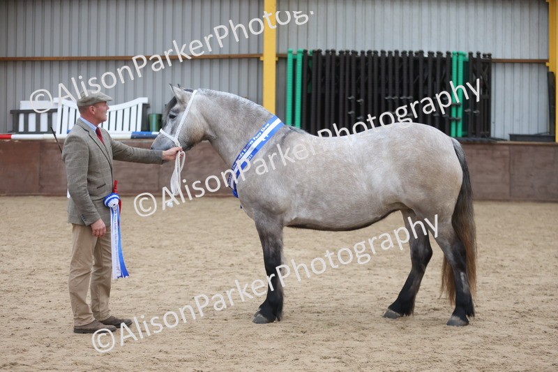 20251109-1171 - Championship