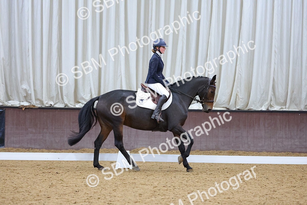 SBM_004232 - Intermediate
