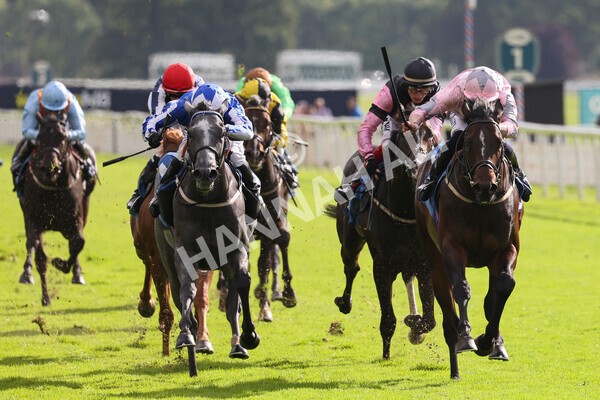 yr24092021r4-20 - Race 4 3.15pm William Hill Play Responsibly British EBF Restricted Novice Stakes