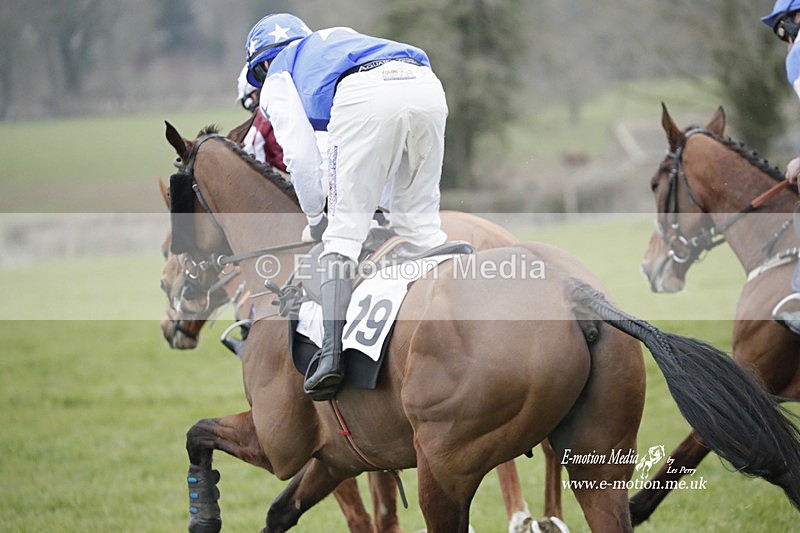 PtP 050323 672 - Blackmore & Sparkford Vale Hunt PtP - Somerset 05/03/23