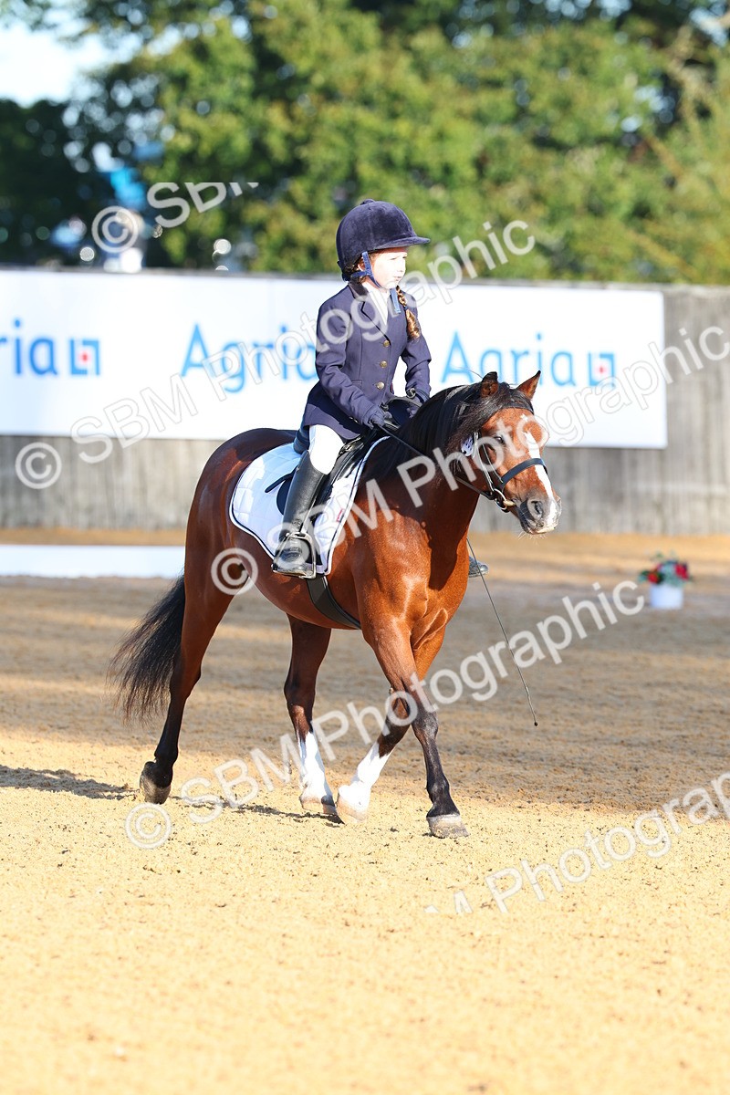 SBM_33497 - D26 - Test Starter Test 1