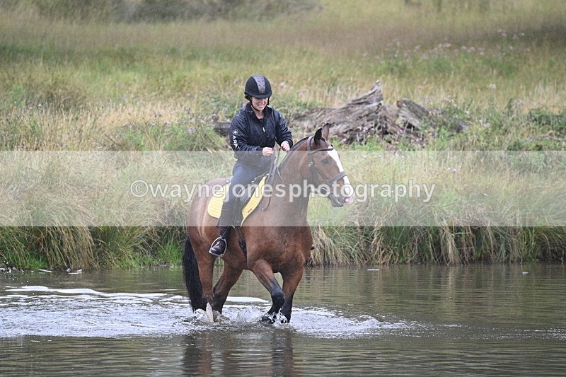 WJ7_8050 - Time at Water 11:06 to 11:21