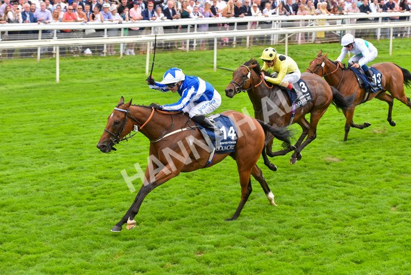 yr20082021r4-128 - Race 4 3.35pm Coolmore Wootton Bassett Nunthorpe Stakes (British Champions Series Race)