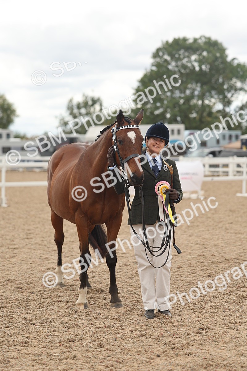 SBM_17163 - Class 313 - IH Retired Racehorse