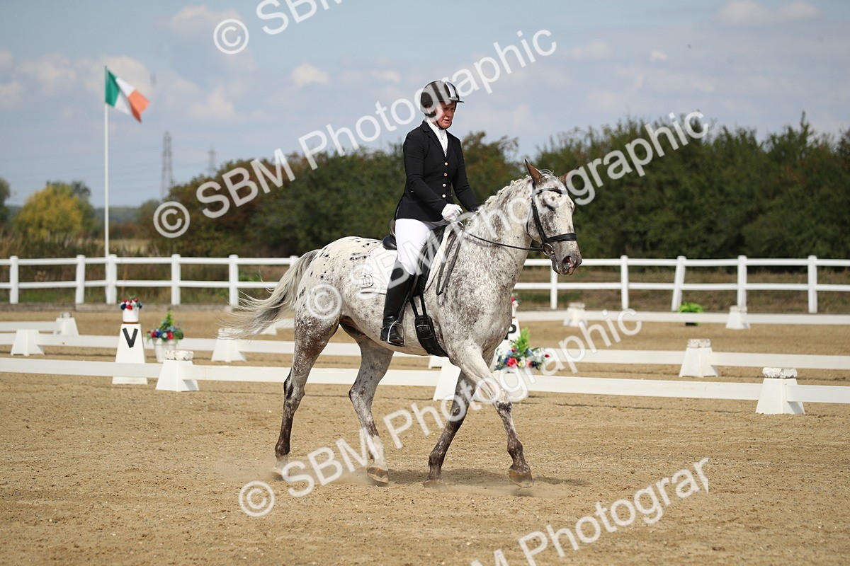 SBM_001413 - Class 2 - Pelim 5 - 11.36.12.32