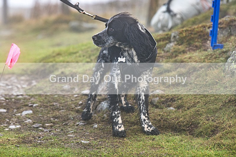 Wansfell-650 - Wansfell Race Friday 27th December 2024
