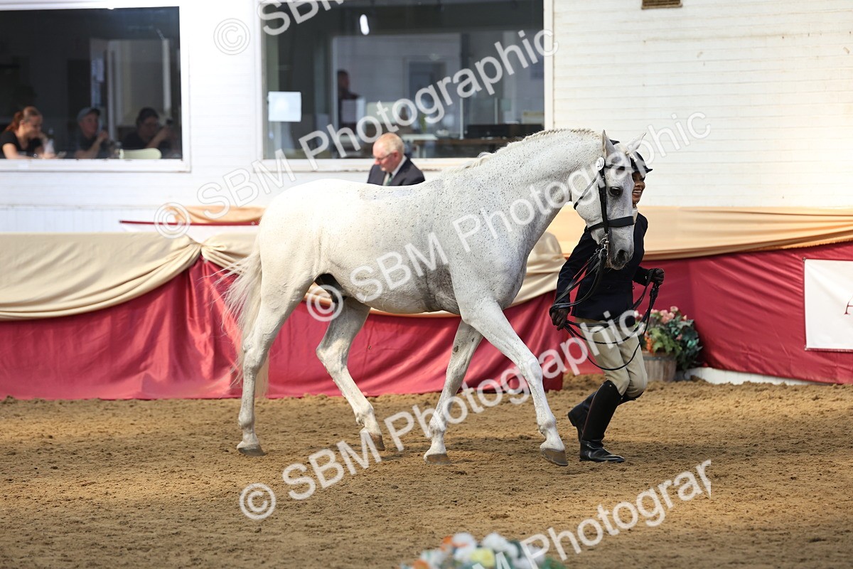 SBM_24152 - Class 905 - Supreme Final - Ridden Veteran