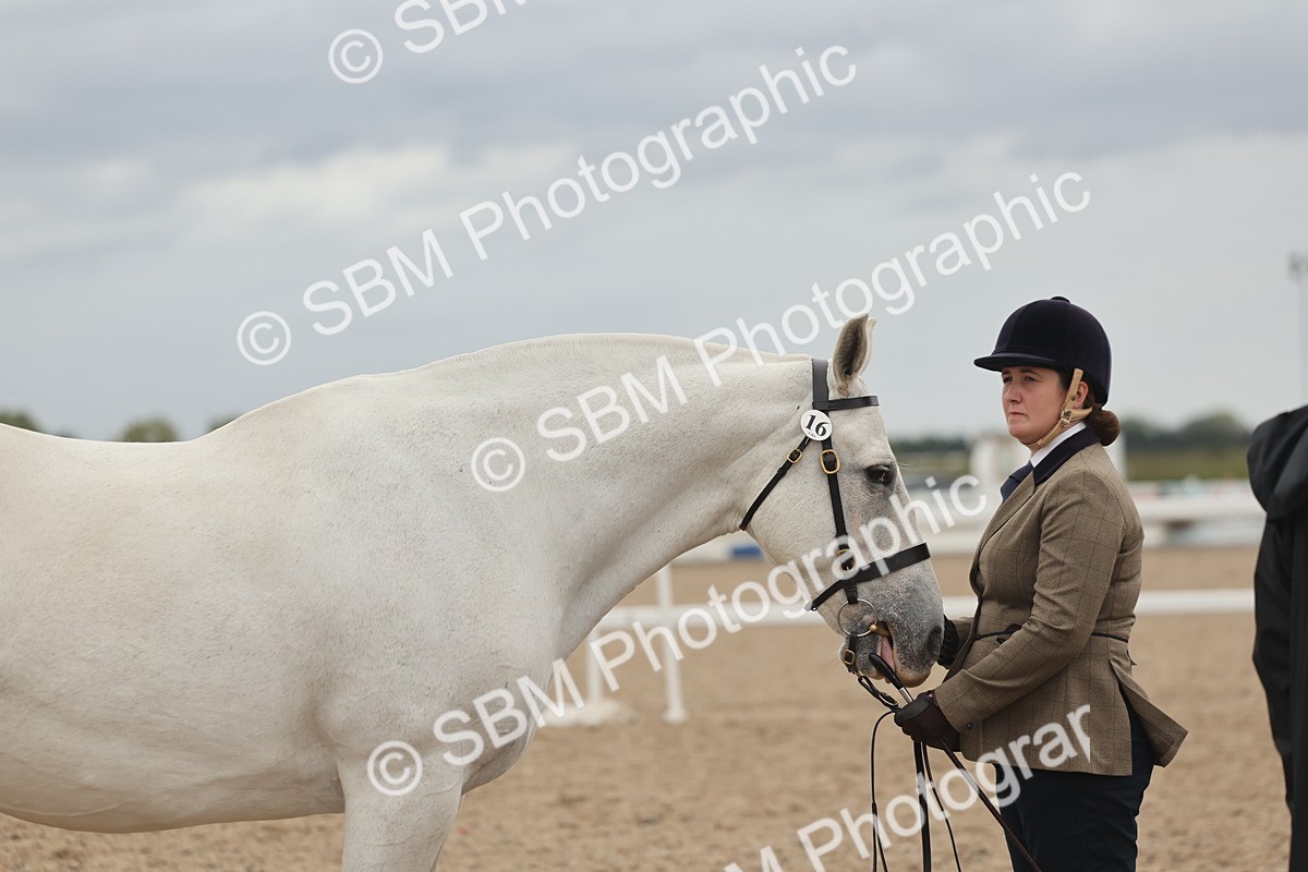 SBM_19319 - Class 317 - IH Pure Bred Horse-Pony