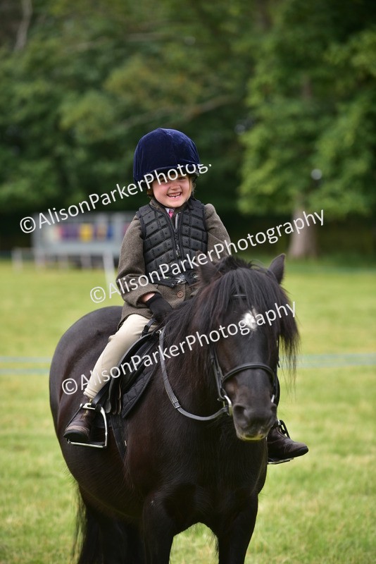 20260614-4220 - Class 17 - Best Mane and Tail