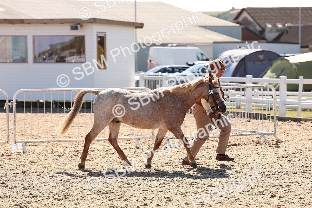 SBM_14045 - Class 207 - IH M&M