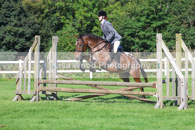3E7A7789 - Class 2: Open Working Hunter pony