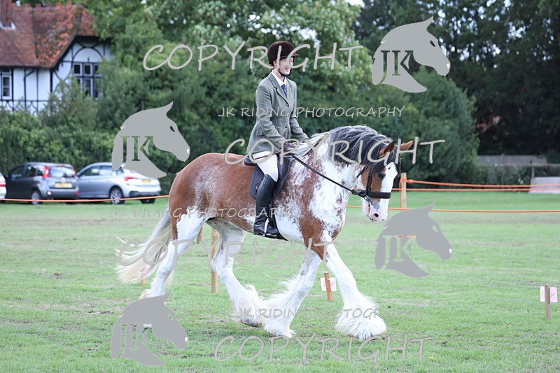 APP_3635 - Class 8 Ridden Class