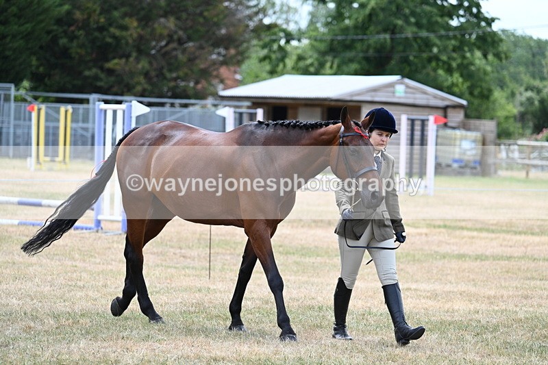WJ7_1897 - Class 4a Prettiest Mare 14.2hh and over hand