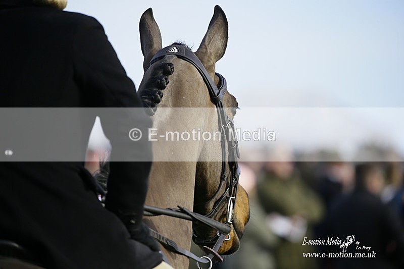 PtP 300122 295 - South Dorset Hunt - Point-to-Point Races 30/01/2022