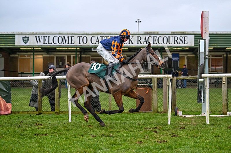 110124-Race 3-Time For A Pint-2495 - Race 3