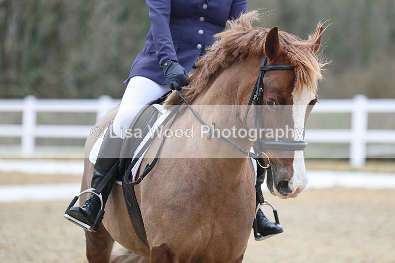 3E7A0565 - Class 3: Prelim 1 2024 Section A - part two