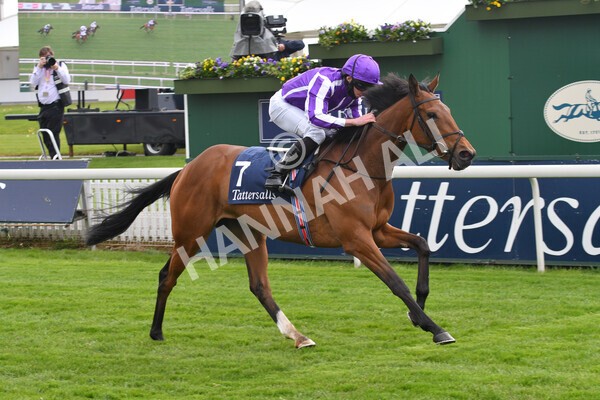 yr12052021r4-29 - Race 4 3.10pm Tattersalls Musidora Stakes