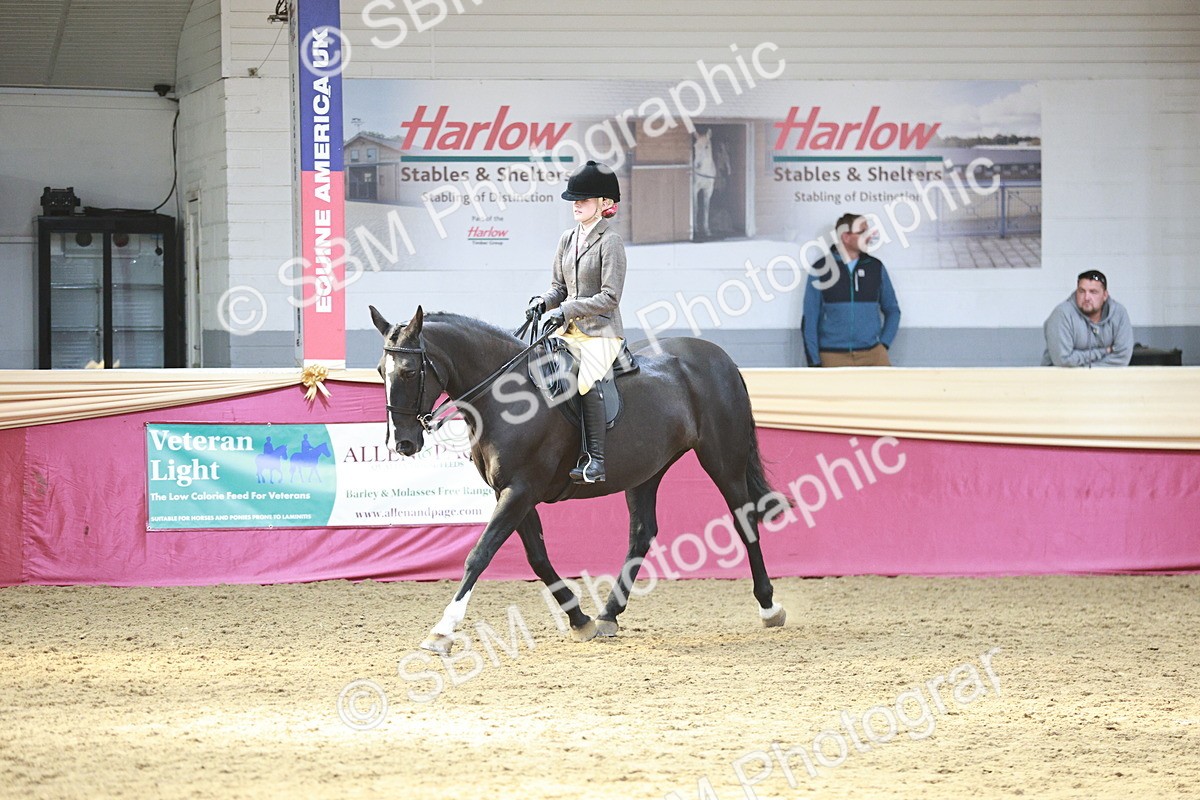 SBM_07174 - Class 10R - Regional Ridden Diamond