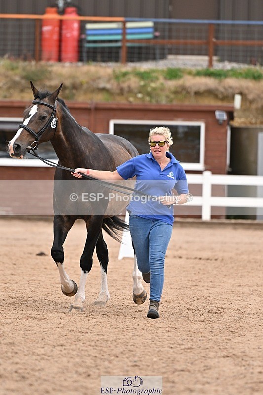 250716-155759-02299 - Trot Up 3.30 to 4.30