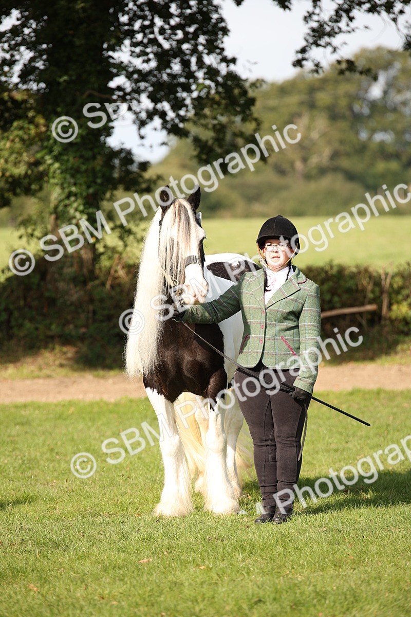 SBM_61212 - S54 - Show Cob In Hand