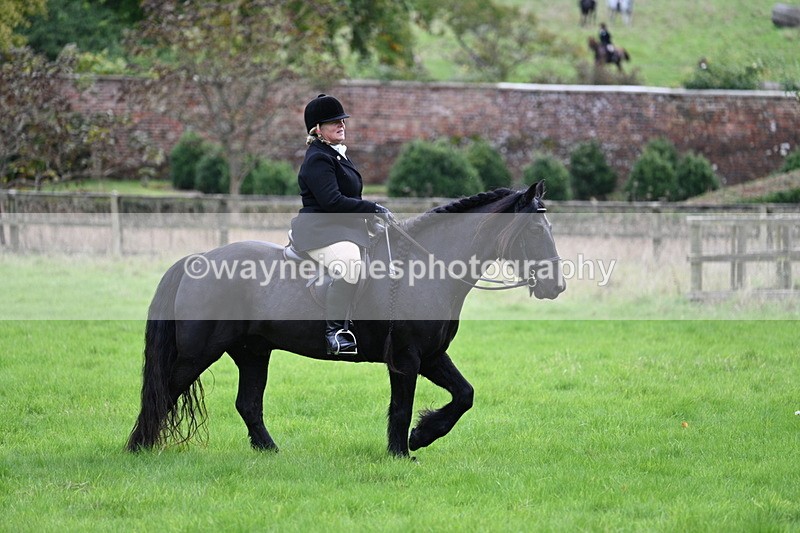 WJ7_4651 - Camera 1 Line 3