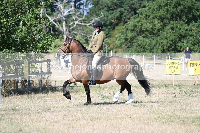 WJ7_3748 - Class 9 Mountain & Moorland Ridden