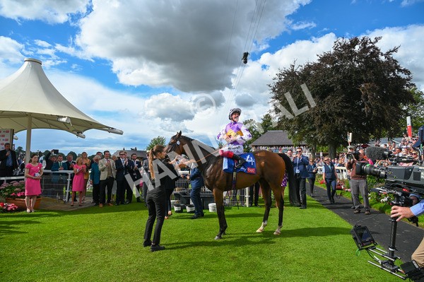 260823-Race 3-Kinross-1054 - Race 3 Sky Bet City Of York Stakes