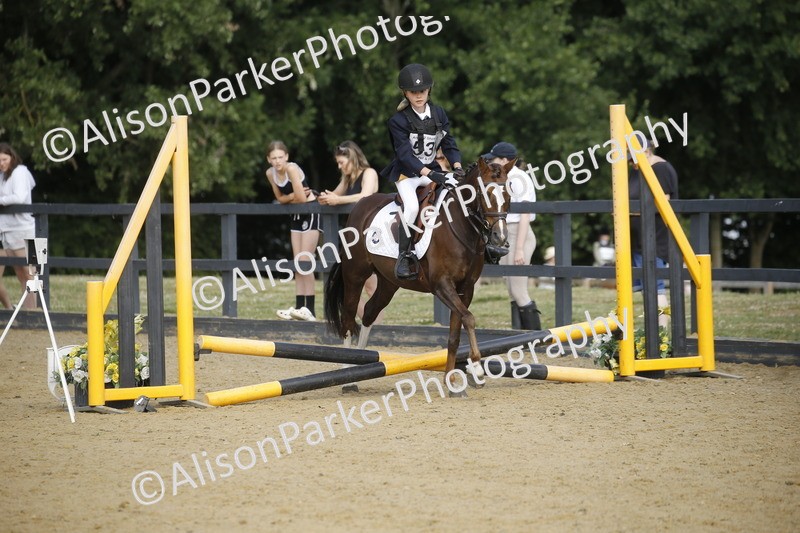 20250622-1551 - 40cm