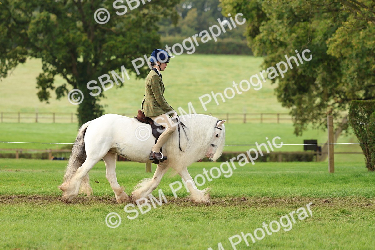 SBM_56561 - S40 - Starters Ridden Showing