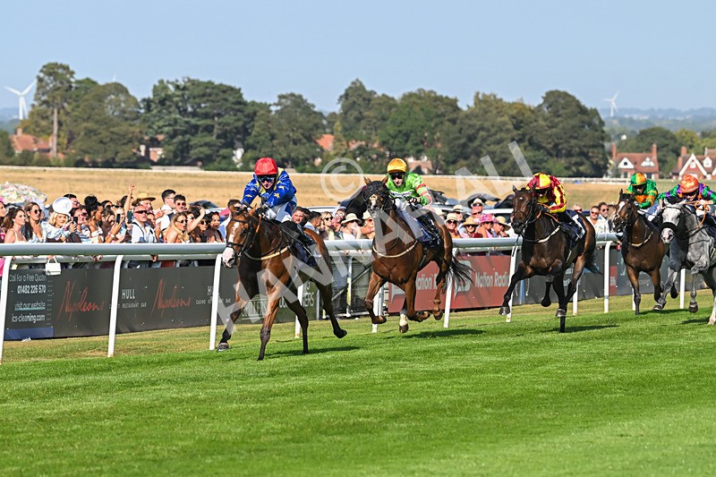 130825-Race 7-Tees Aggregates-9685 - Race 7