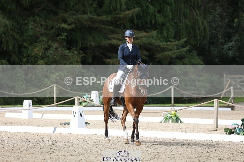 230812-104232-03318 - Cls 5 Novice Bronze Start to 10.55 break