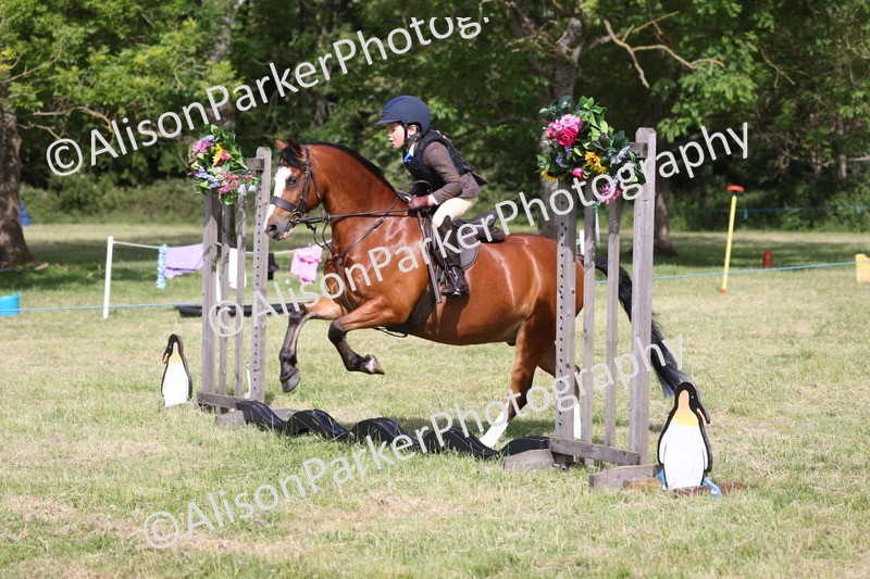 20260614-0482 - Class 20 - Beginners Working Hunter Pony