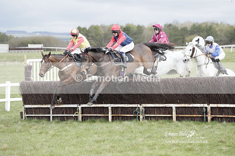 PtP 260323 0384 - New Forest Hounds Point-to-Point Larkhill 26/03/23
