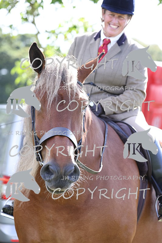 APP_3689 - Class 8 Ridden Class