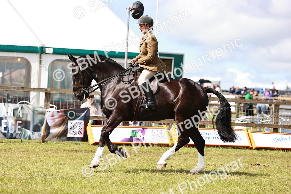 SBM_14033 - Class 85-87 - RIHS Cobs