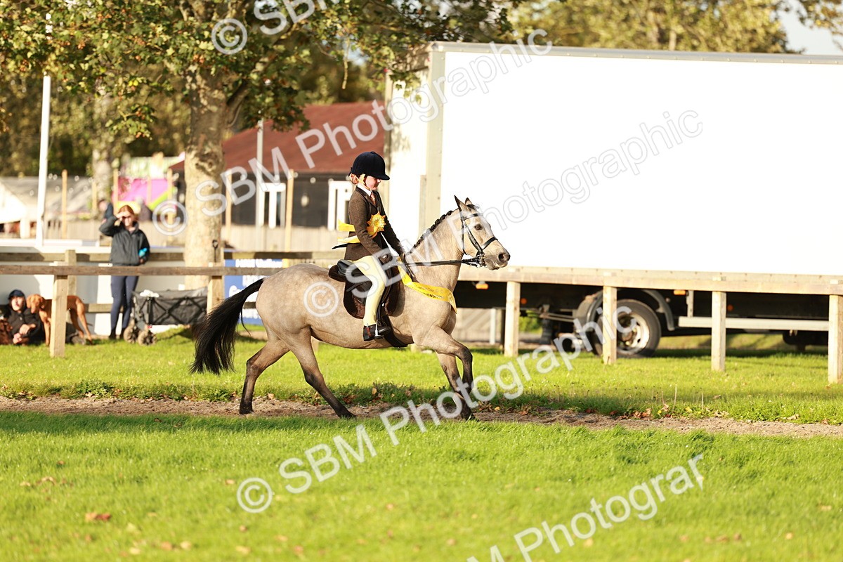 SBM_29278 - Novice & newcomer Supreme Championship
