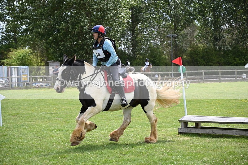 WJ6_3491 - Class 4 60cm