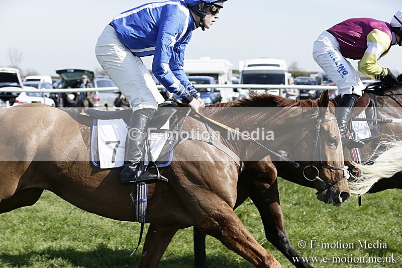 PtP 260317 115 - Mendip Farmers Point-to-Point Ston Easton 26/03/17