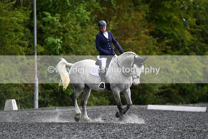 WJ5_2241 - Time 15:05 to 15:30