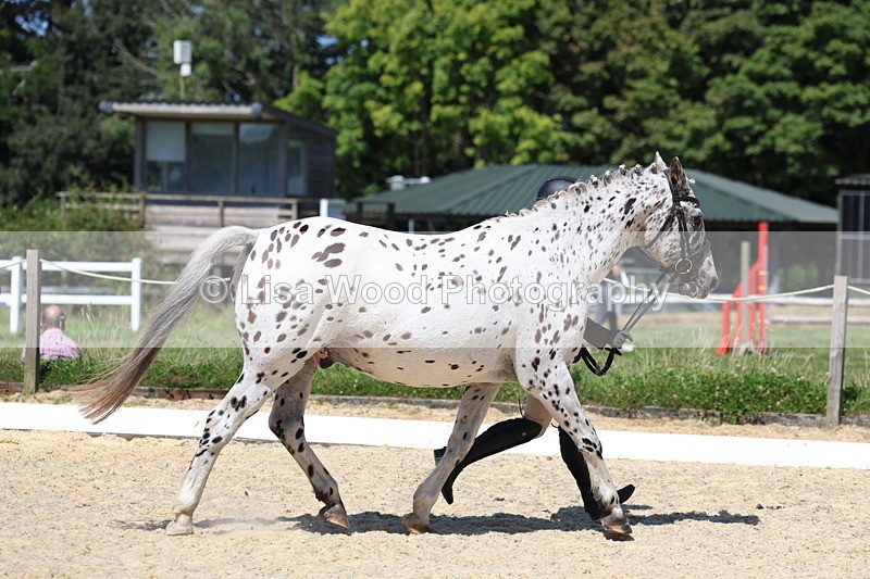 3E7A9415 - Class 29: Veteran In Hand