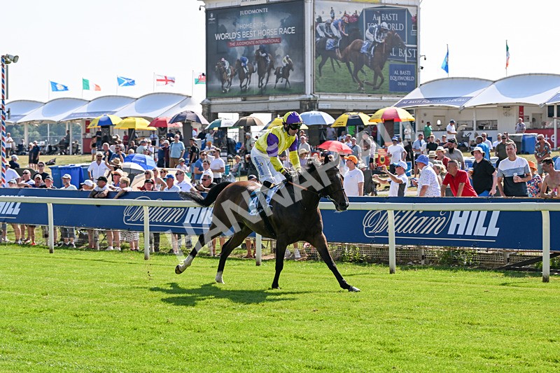 100726-Race 5-Dark Moon Rising-0445 - Race 5 16.30pm Azets Handicap