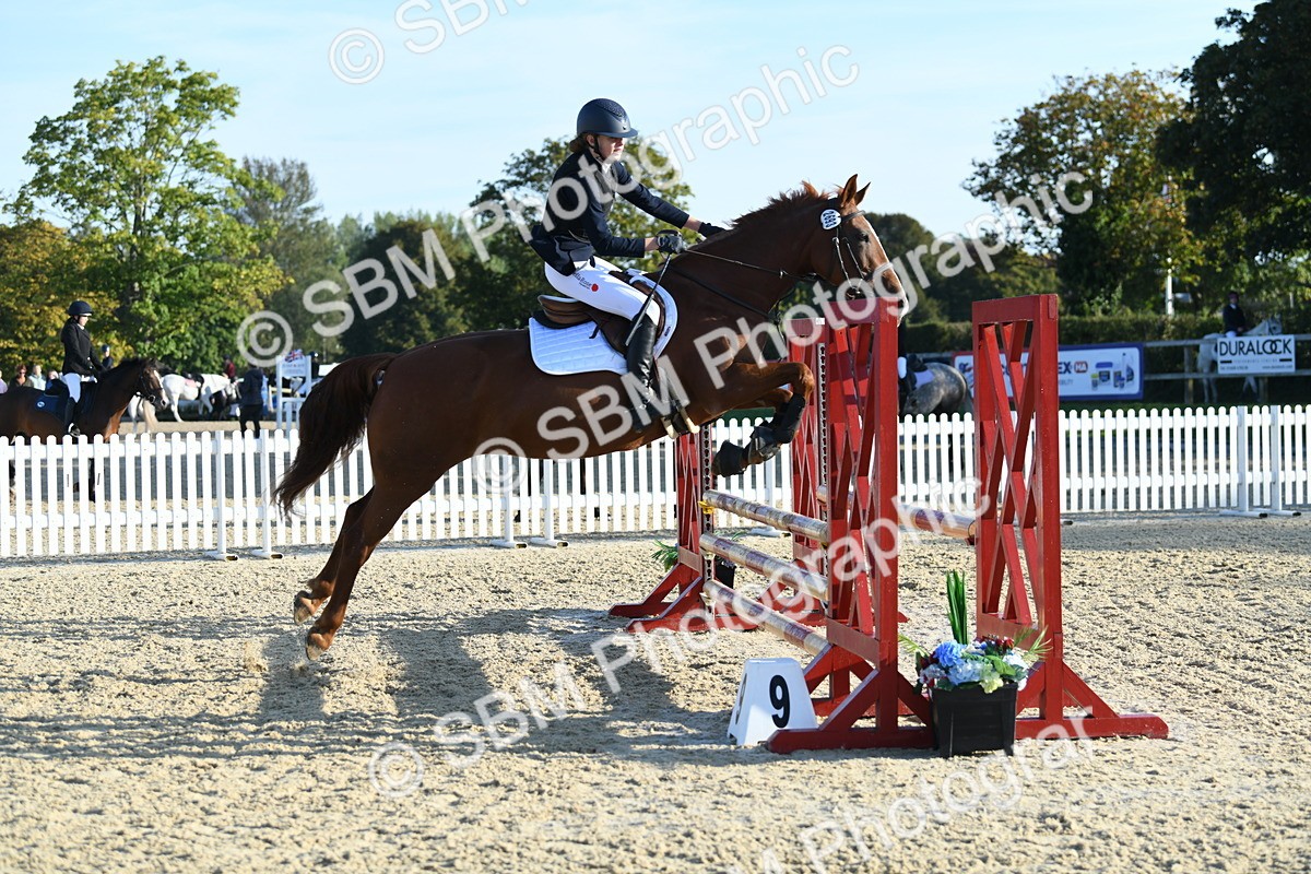SBM_58270 - J24 - Junior Horse 75cm Championship