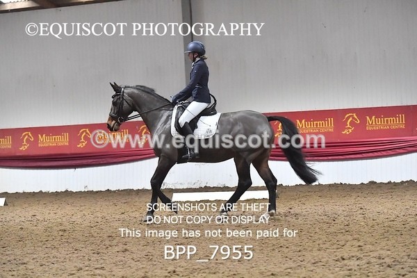 BPP_7955 - ELEM TEST 6