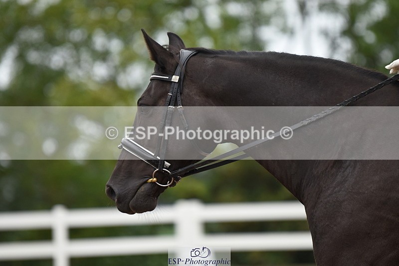 230912A-090048-00019 - Cls 1 Prelim 15