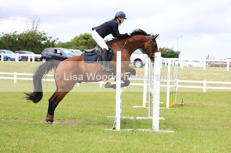 3E7A7807 - Class 13: Senior British Novice/90cm open