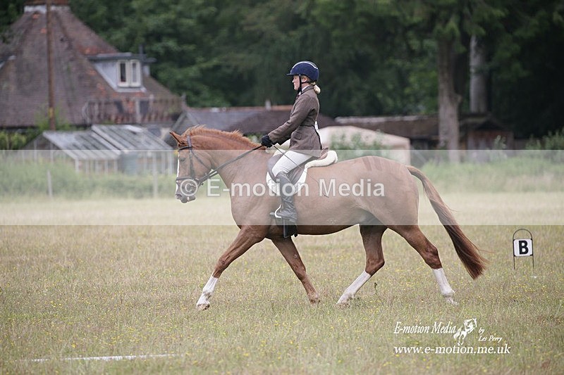 BVRC 030721 778 - Bourne Valley Riding Club Dressage 03/07/21