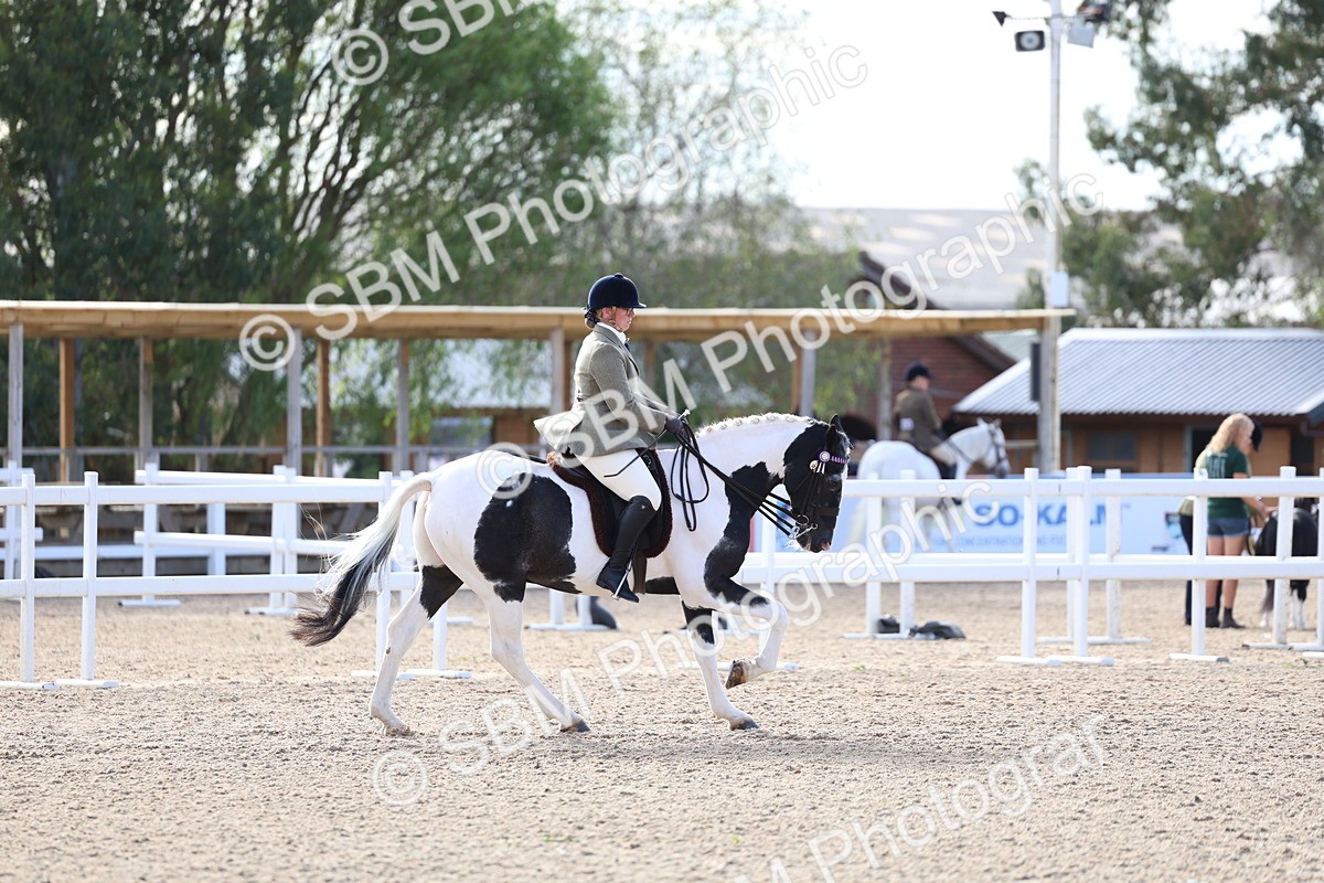 SBM_16737