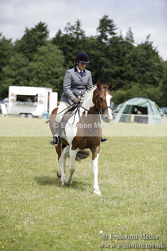 BVR160717-1918 - Ring 1 BVRC Show 16/07/17